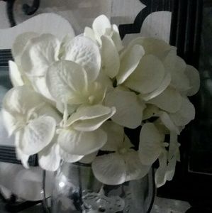 Meet your Posher, Wayne